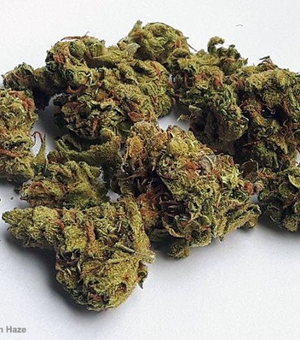 super-lemon-haze.jpg.f5024a920e8592572a53c32a2f80735b.jpg
